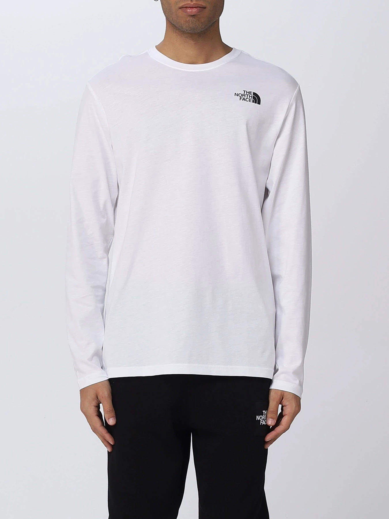 Худи и свитшоты The North Face модель NF0A493LFN41 Худи и свитшоты The North Face модель NF0A493LFN41 Фото