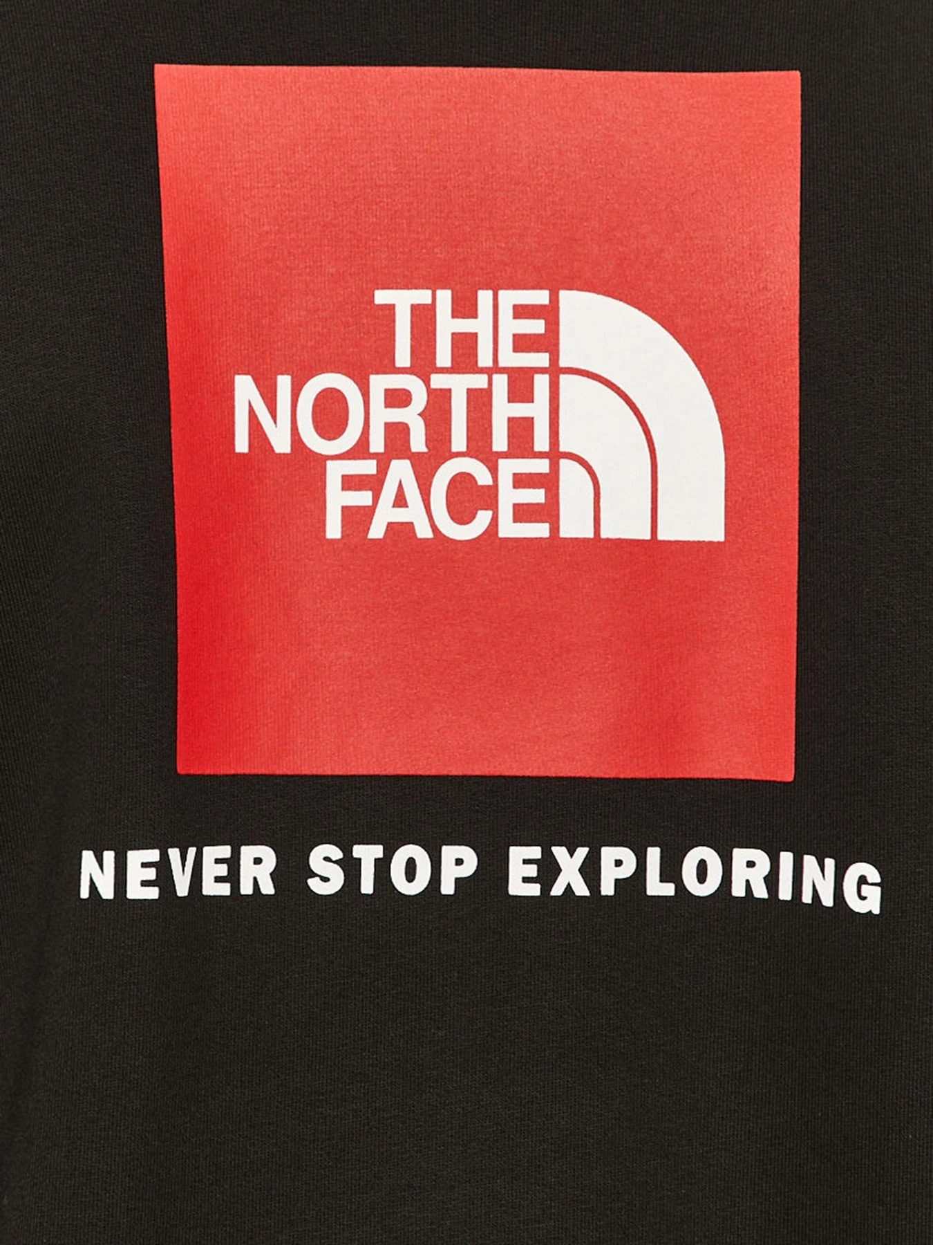 Худи и свитшоты The North Face модель NF0A4SZ9KX91 Фото