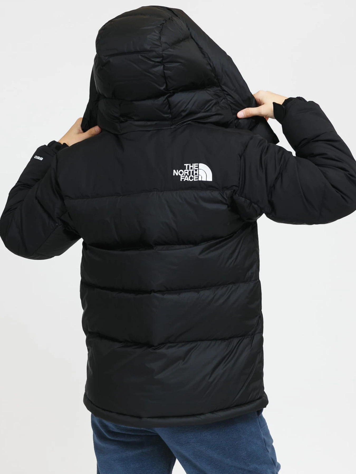 Куртки и дубленки The North Face модель NF0A4R2WJK31 Куртки и дубленки The North Face модель NF0A4R2WJK31 Фото