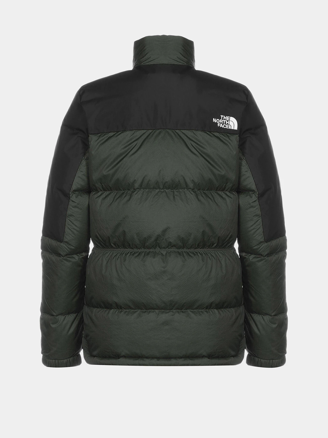 Куртки и дубленки The North Face модель NF0A4SVKWTQ1 Куртки и дубленки The North Face модель NF0A4SVKWTQ1 Фото