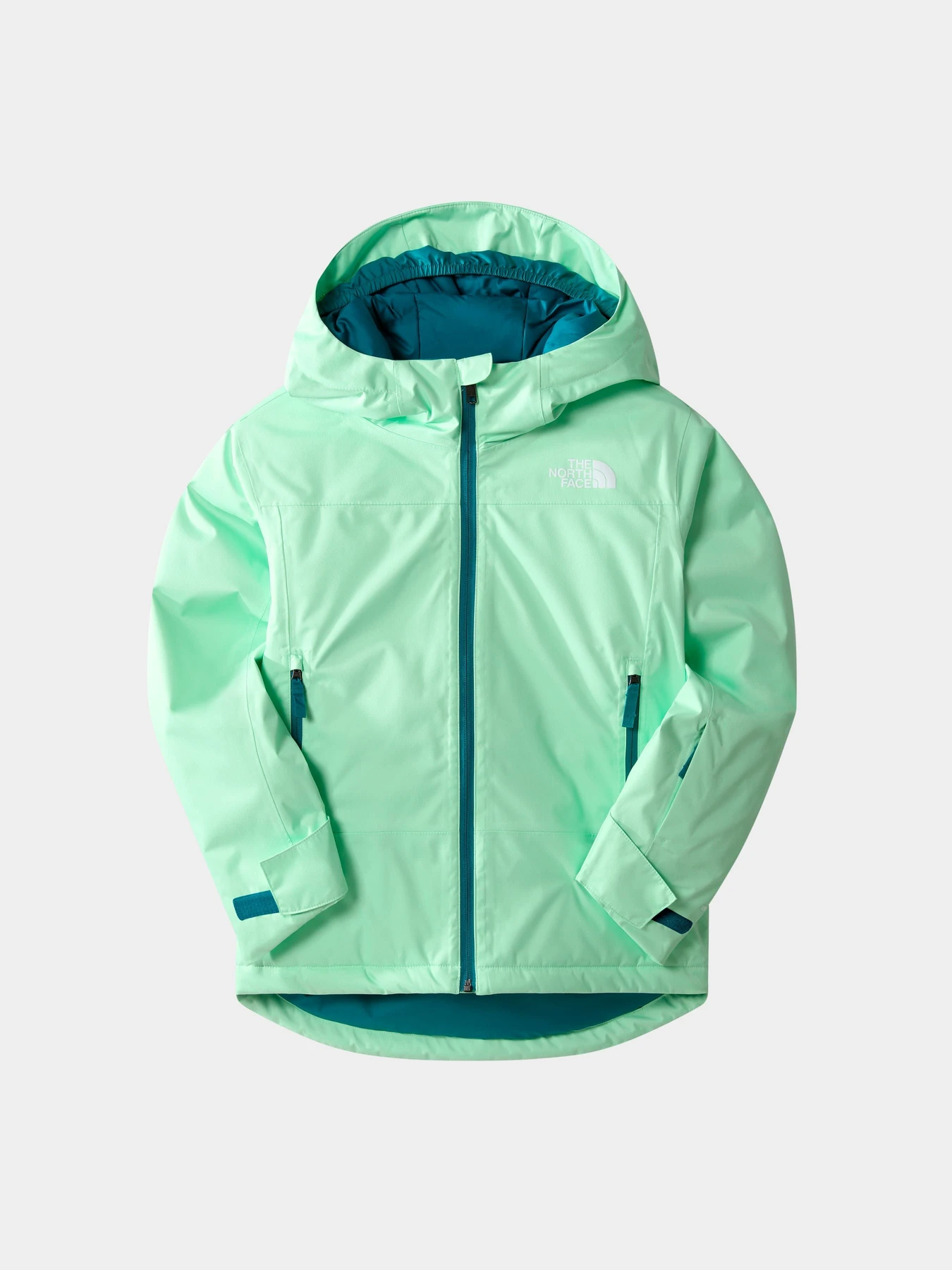 Куртки и дубленки The North Face модель NF0A7UN66S01 Куртки и дубленки The North Face модель NF0A7UN66S01 Фото