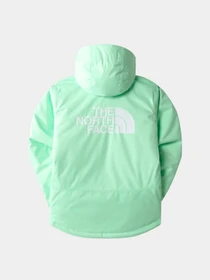 Куртки и дубленки The North Face модель NF0A7UN66S01 Фото
