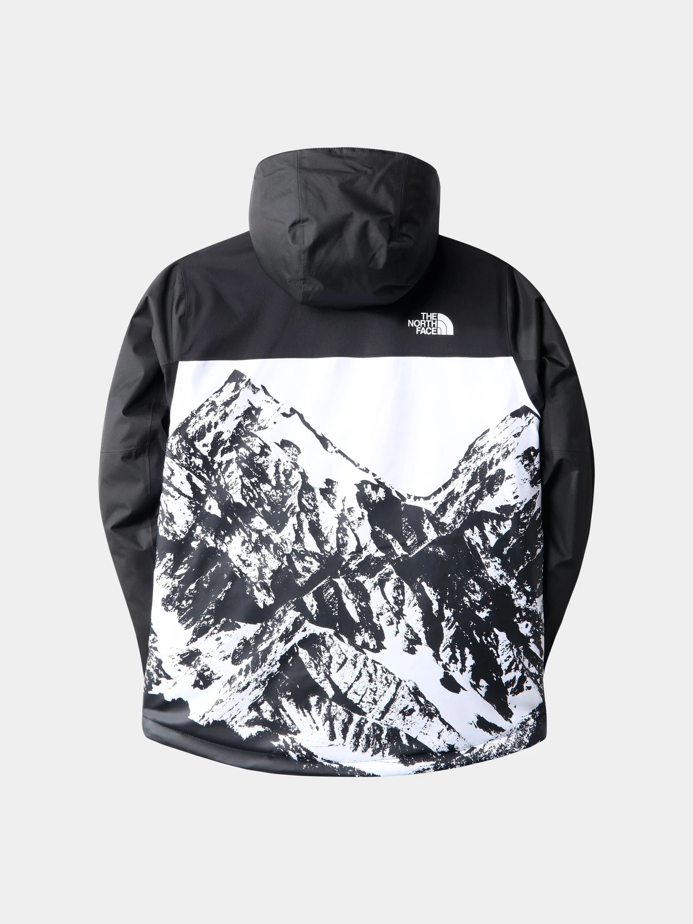 Куртки и дубленки The North Face модель NF0A7WONJK31 Куртки и дубленки The North Face модель NF0A7WONJK31 Фото