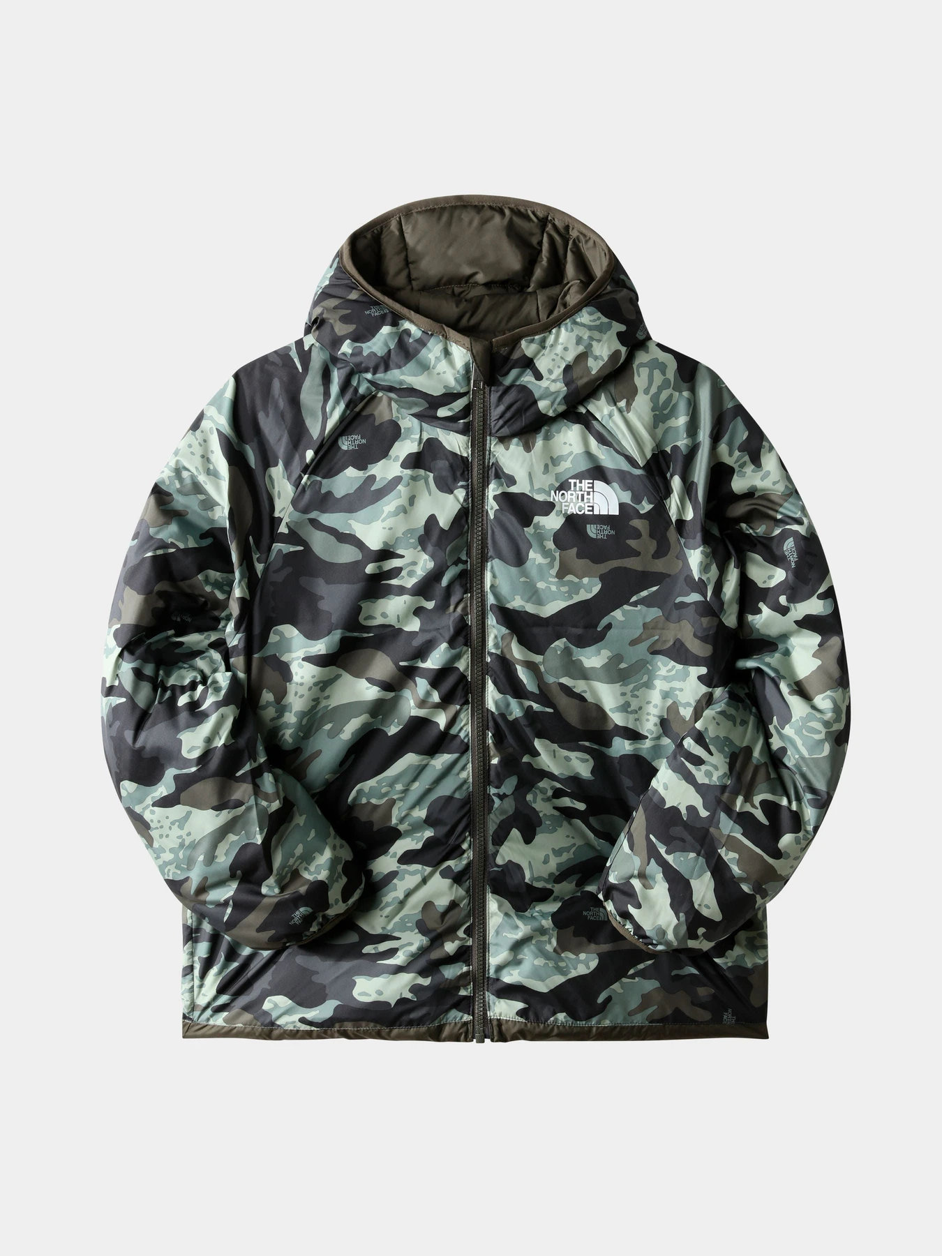Куртки и дубленки The North Face модель NF0A7WOP21L1 Фото