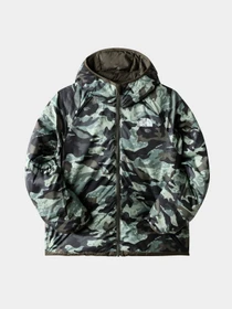 Куртки и дубленки The North Face модель NF0A7WOP21L1 Фото