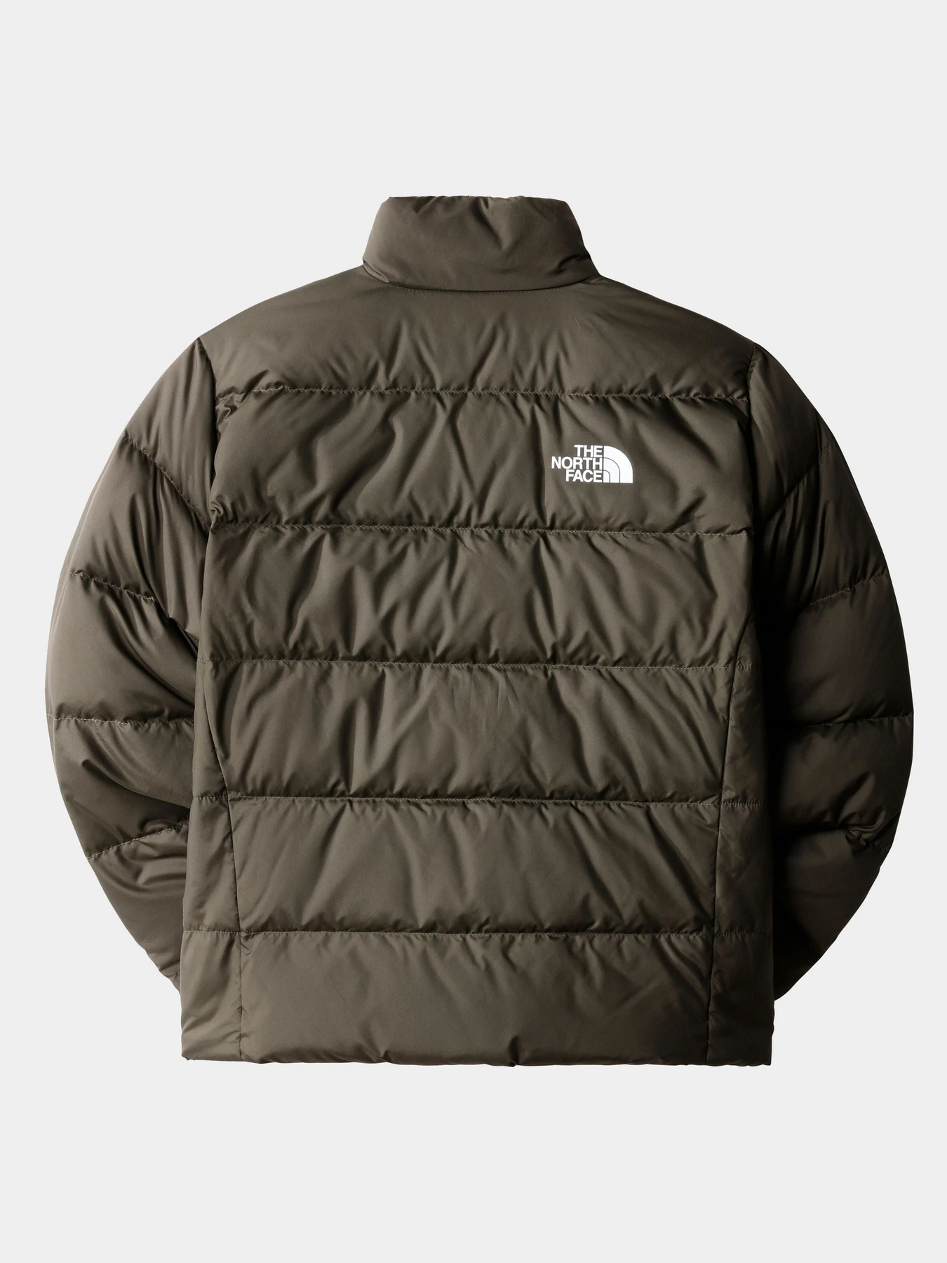 Куртки и дубленки The North Face модель NF0A7WOQ21L1 Фото