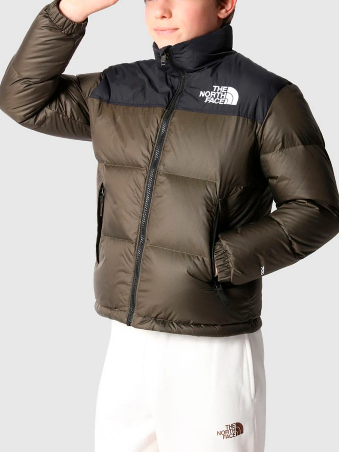Куртки и дубленки The North Face модель NF0A7WQO21L1 Куртки и дубленки The North Face модель NF0A7WQO21L1 Фото