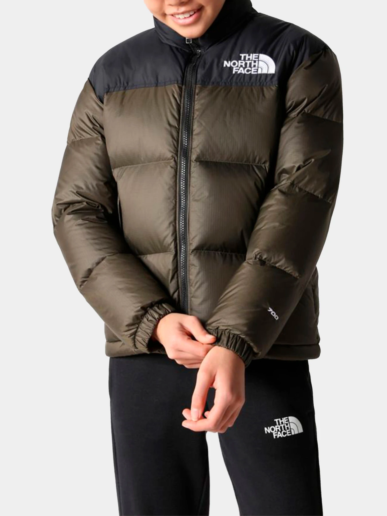 Куртки и дубленки The North Face модель NF0A7WQO21L1 Куртки и дубленки The North Face модель NF0A7WQO21L1 Фото