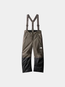 Брюки The North Face модель NF0A7X3P21L1 Фото