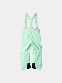 Брюки The North Face модель NF0A7X3P6S01 Фото