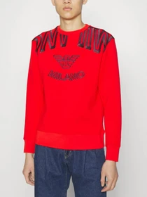 Худи и свитшоты Emporio Armani модель 6L1M6V-1JV9Z-0336 Фото