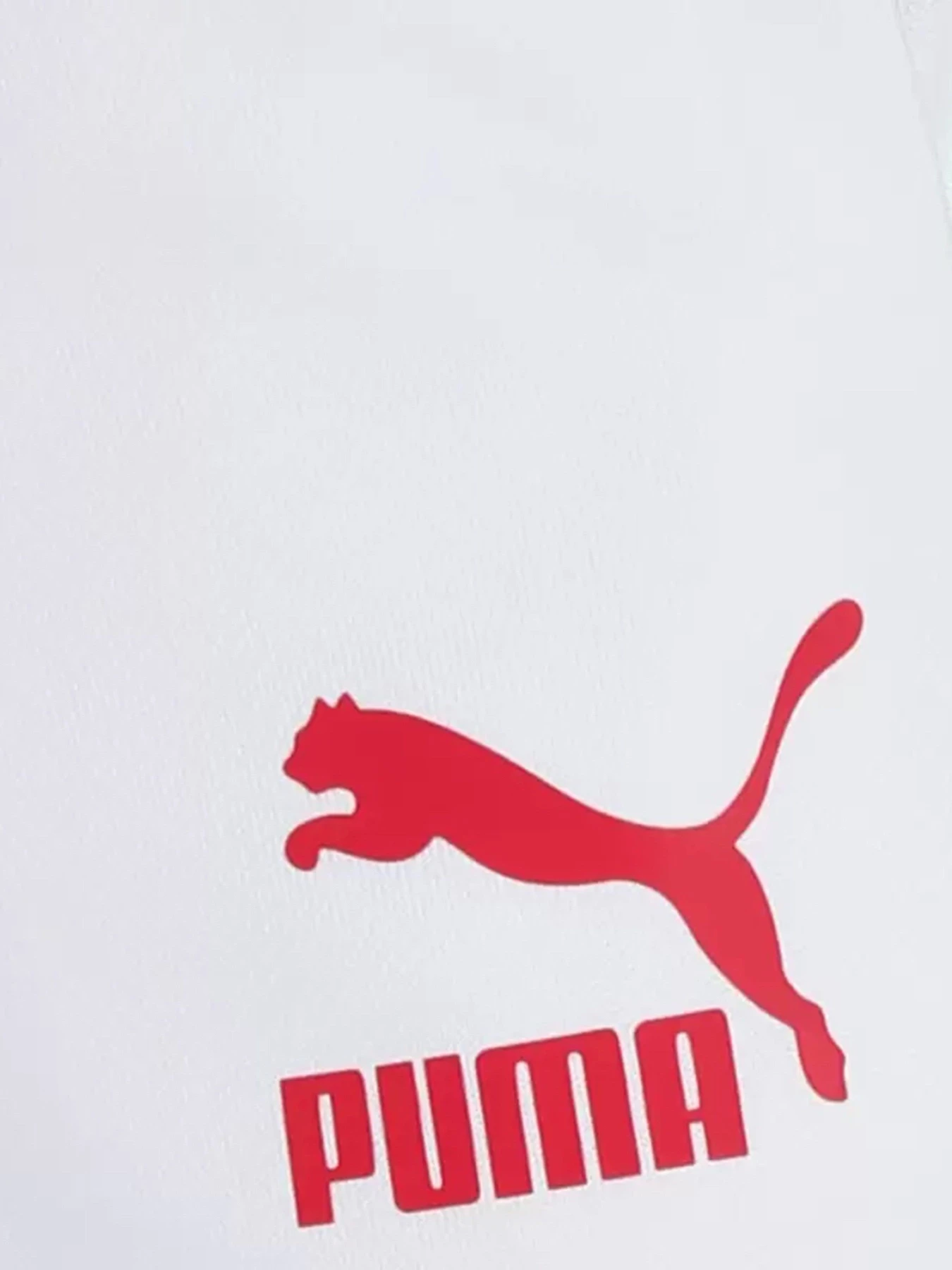 Брюки PUMA модель 53009902 Брюки PUMA модель 53009902 Фото