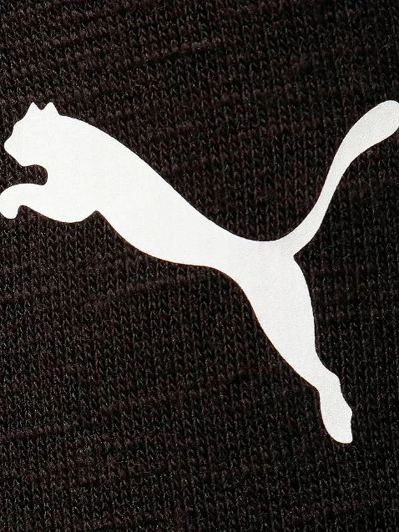 Брюки PUMA модель 59973601 Брюки PUMA модель 59973601 Фото