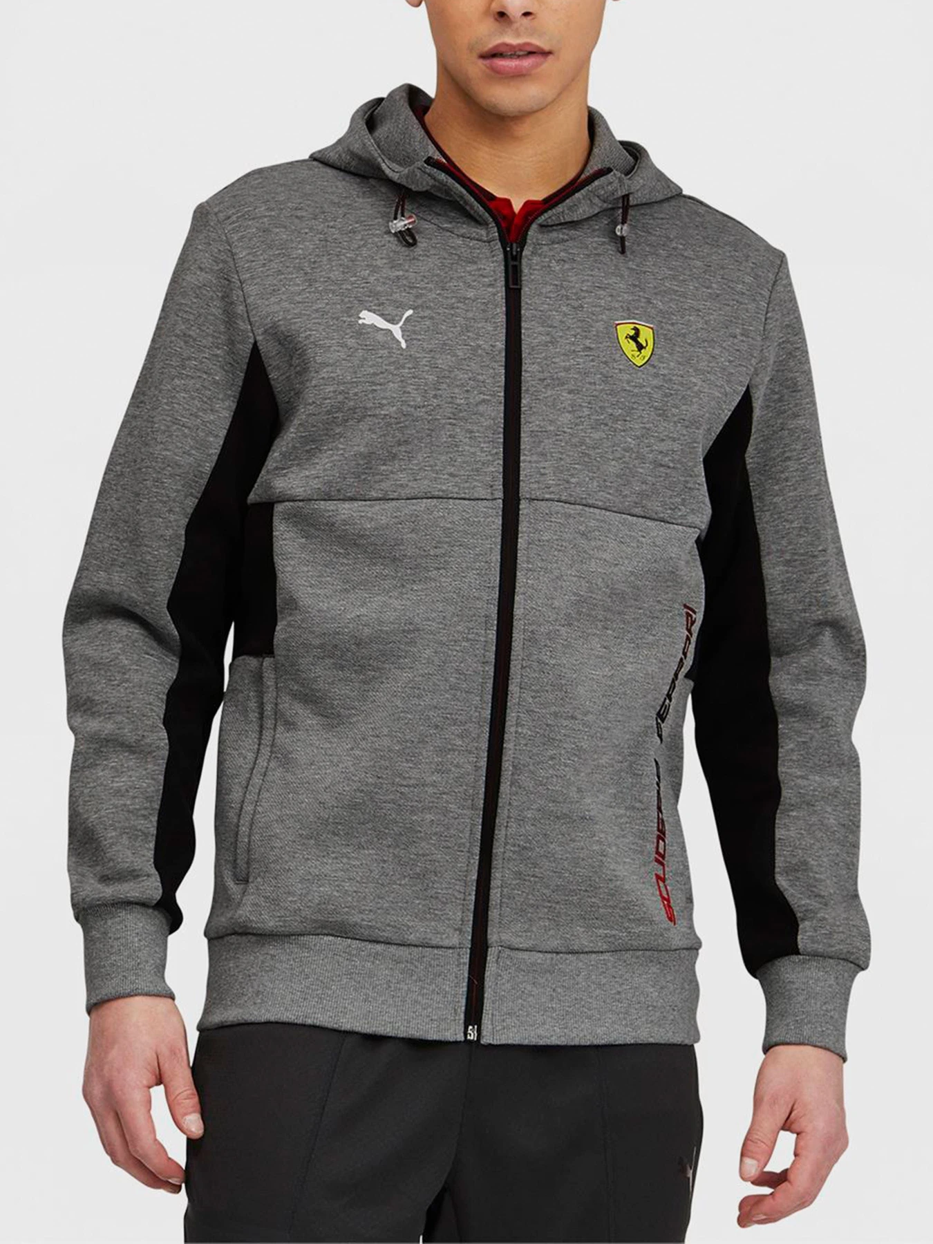 Худи и свитшоты PUMA модель 59983803 Худи и свитшоты PUMA модель 59983803 Фото