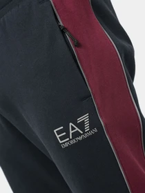Брюки EA7 модель 6LPP60-PJ07Z-0578 Фото