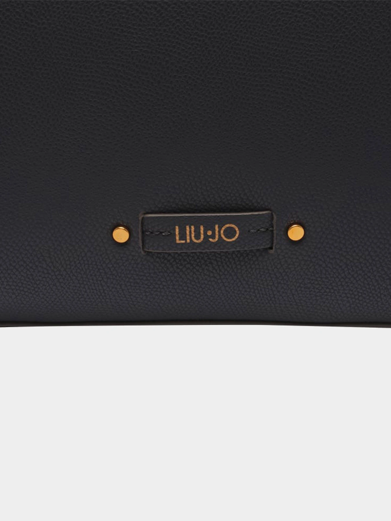 Сумки Liu Jo модель AA3154E008790013 Сумки Liu Jo модель AA3154E008790013 Фото