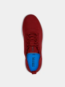 Кроссовки Geox модель U15BYA-0006K-C7M1L Фото