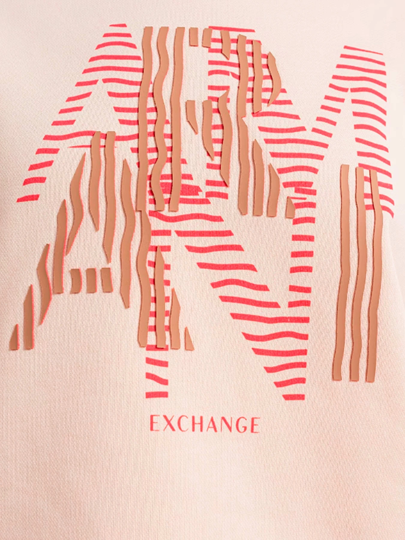 Худи и свитшоты Armani Exchange модель 3RYM70-YJDBZ-14AS Фото