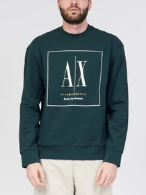 Худи и свитшоты Armani Exchange модель 3RZMAB-ZJ83Z-1882 Фото