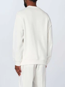 Худи и свитшоты Emporio Armani модель 3R1MDA-1JRIZ-0101 Фото