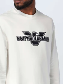 Худи и свитшоты Emporio Armani модель 3R1MDA-1JRIZ-0101 Фото