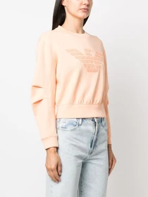 Худи и свитшоты Emporio Armani модель 3R2M6E-1JHSZ-0212 Фото