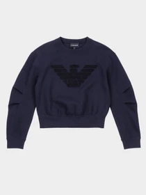 Худи и свитшоты Emporio Armani модель 3R2M6E-1JHSZ-0926 Фото