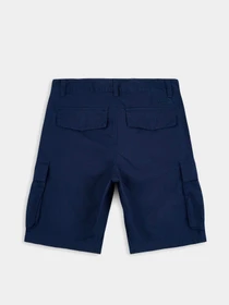 Шорты The North Face модель NF0A55B68K21 Фото