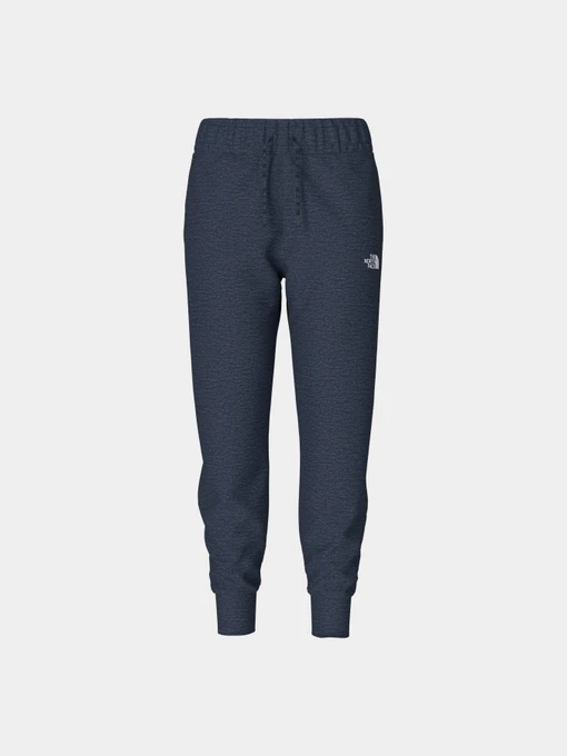 Брюки The North Face модель NF0A5GCB8Q01 Фото