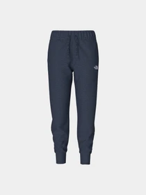 Брюки The North Face модель NF0A5GCB8Q01 Фото