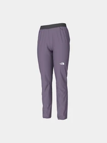 Брюки The North Face модель NF0A5IFGN141 Фото