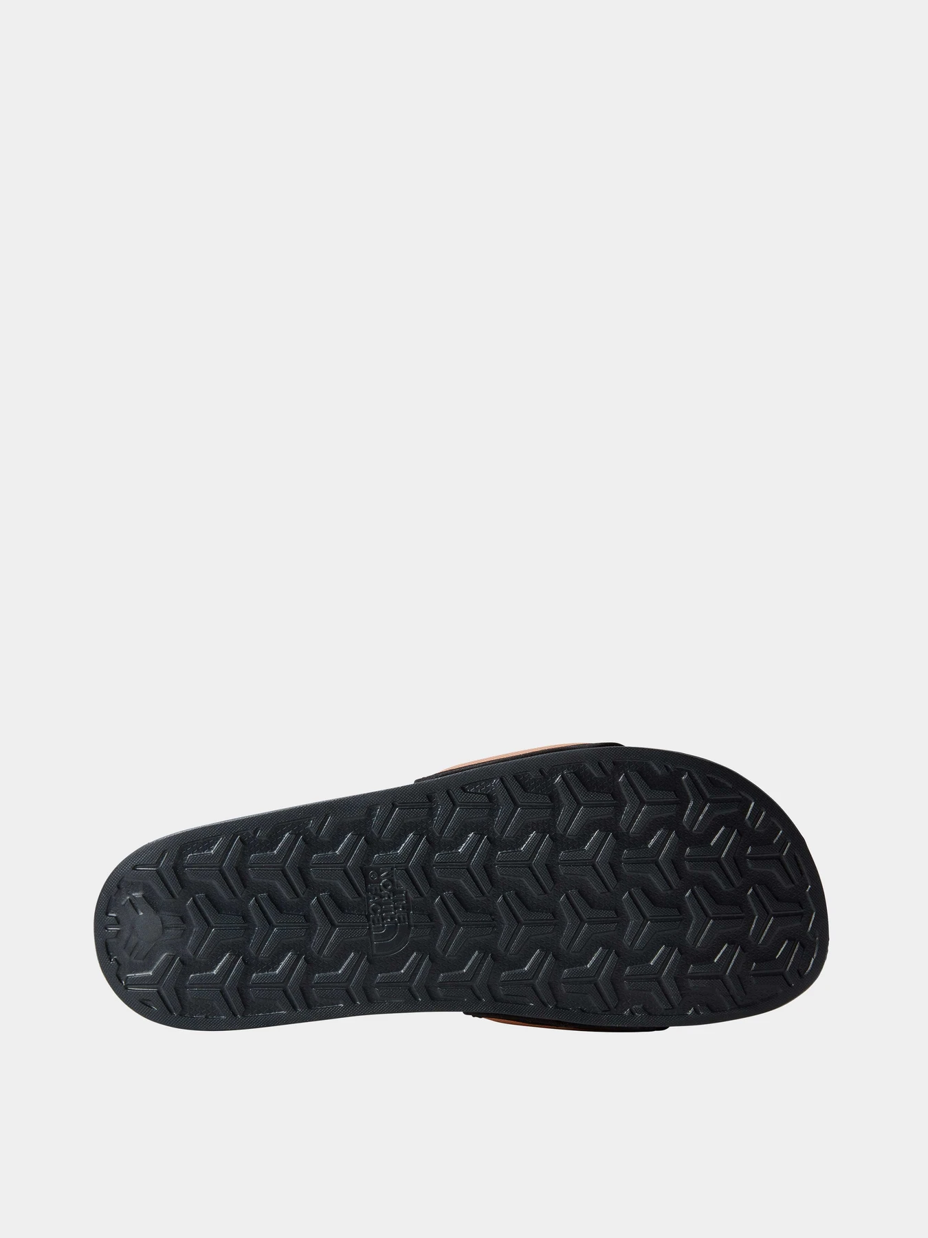 Шлёпанцы The North Face модель NF0A5LVWI8J1 Шлёпанцы The North Face модель NF0A5LVWI8J1 Фото