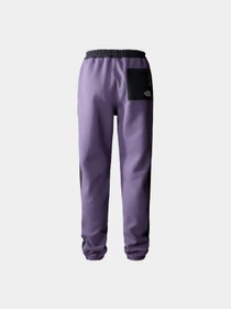Брюки The North Face модель NF0A7UQ1N141 Фото