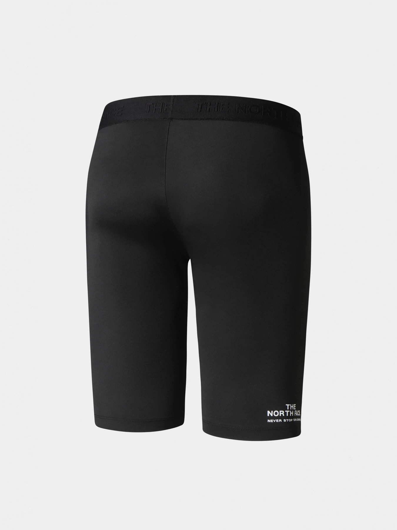 Шорты The North Face модель NF0A7ZB5JK31 Фото