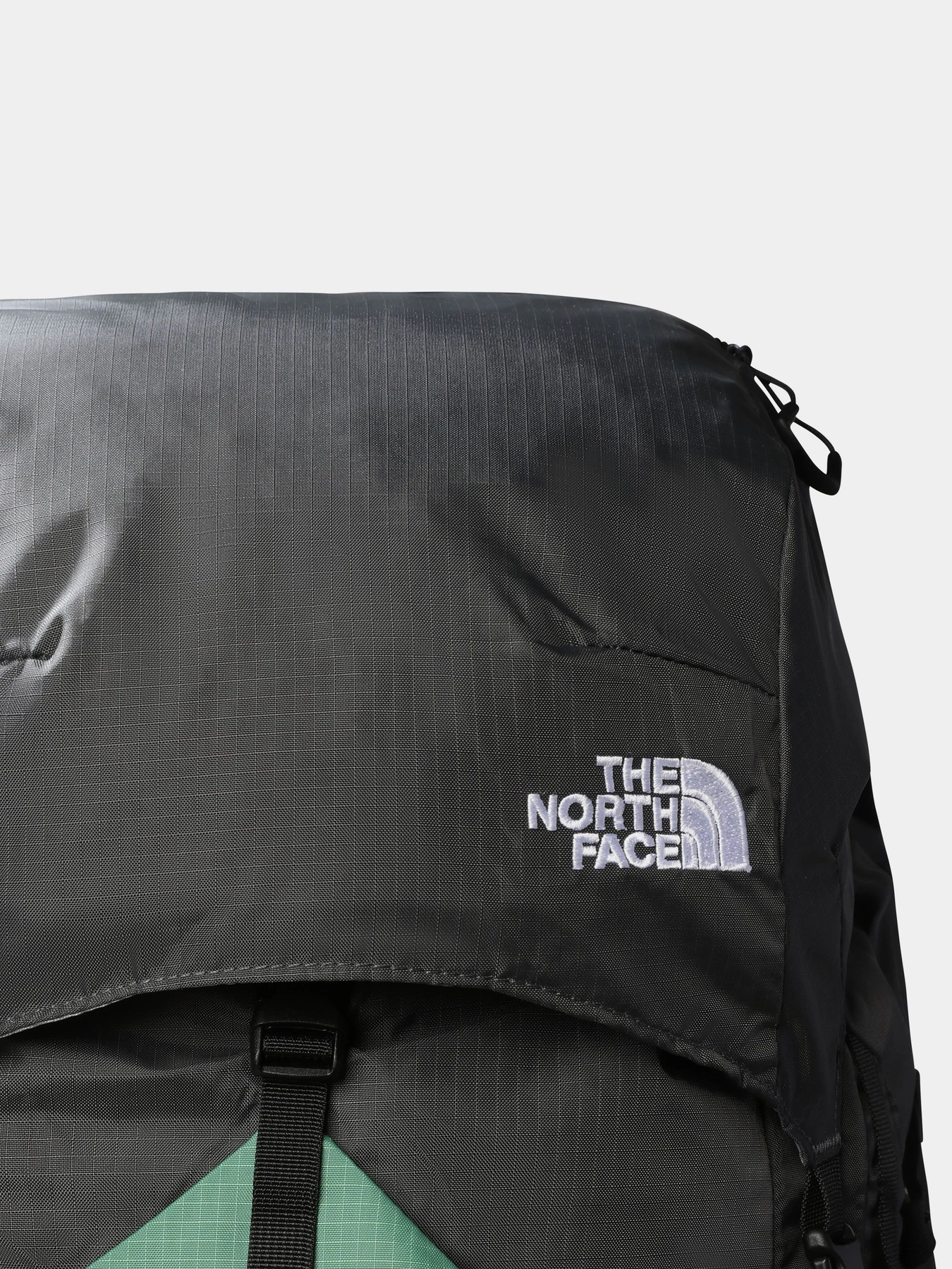 Рюкзаки The North Face модель NF0A81CEP7P1 Фото