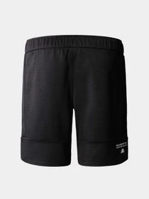 Шорты The North Face модель NF0A823OJK31 Фото