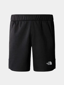 Шорты The North Face модель NF0A823OJK31 Фото