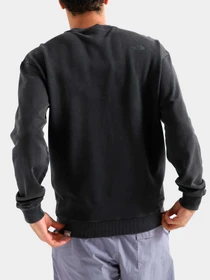 Худи и свитшоты The North Face модель NF0A826LJK31 Фото