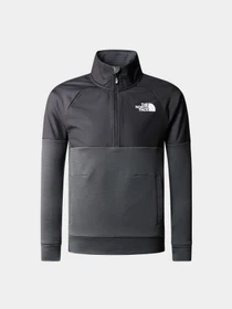 Худи и свитшоты The North Face модель NF0A82E10C51 Фото