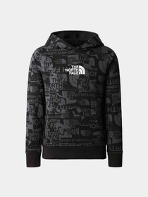 Худи и свитшоты The North Face модель NF0A82EGIW41 Фото
