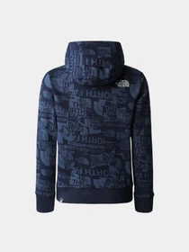 Худи и свитшоты The North Face модель NF0A82EGIWU1 Фото
