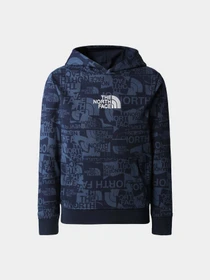 Худи и свитшоты The North Face модель NF0A82EGIWU1 Фото