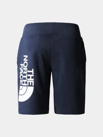 Шорты The North Face модель NF0A82EL8K21 Фото