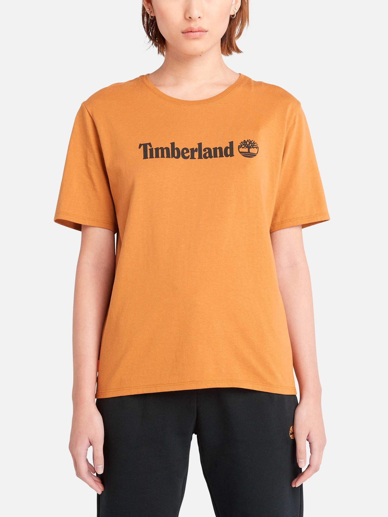 Футболки и поло Timberland модель TB0A6AZPP47 Футболки и поло Timberland модель TB0A6AZPP47 Фото
