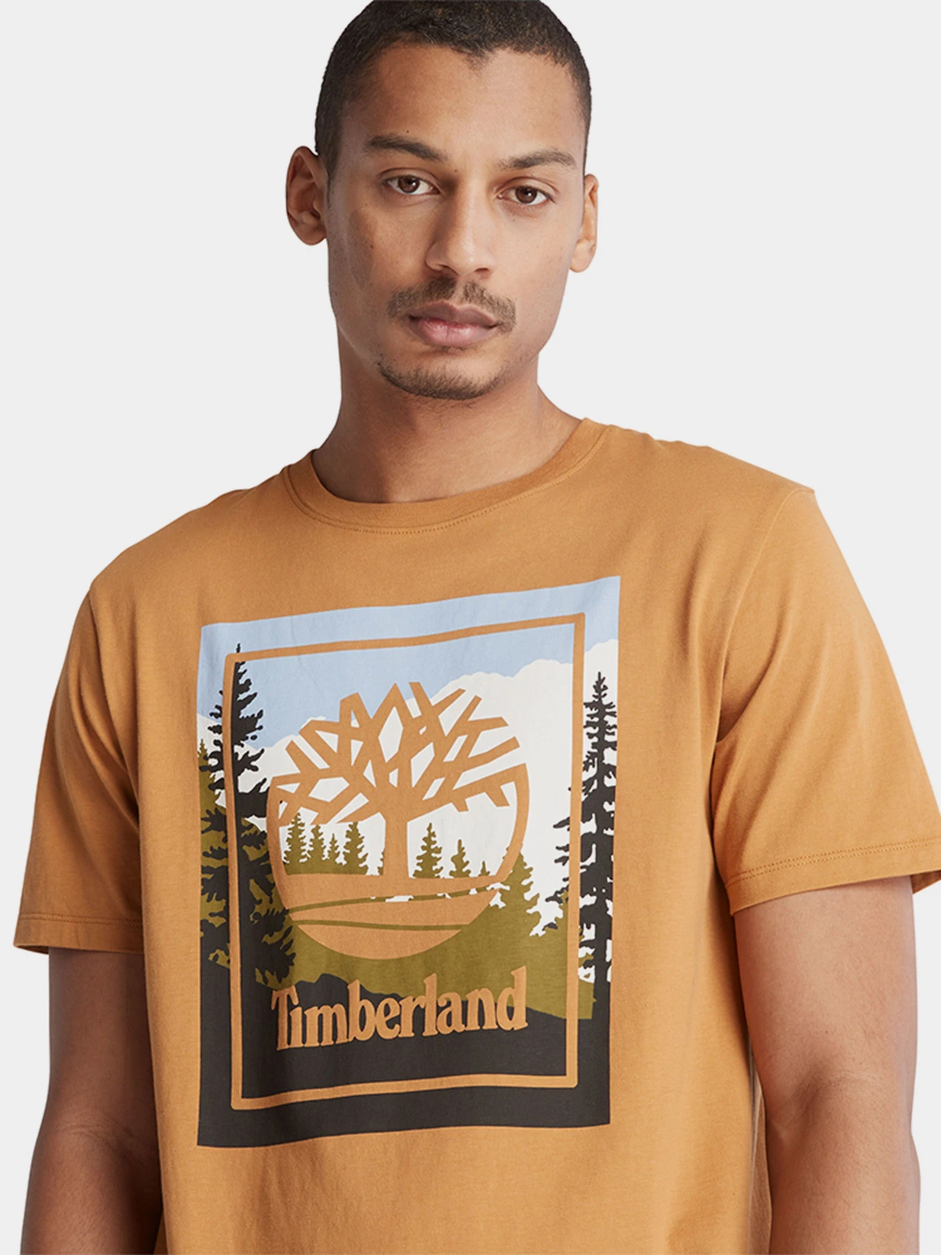 Футболки и поло Timberland модель TB0A6F4KP47 Футболки и поло Timberland модель TB0A6F4KP47 Фото