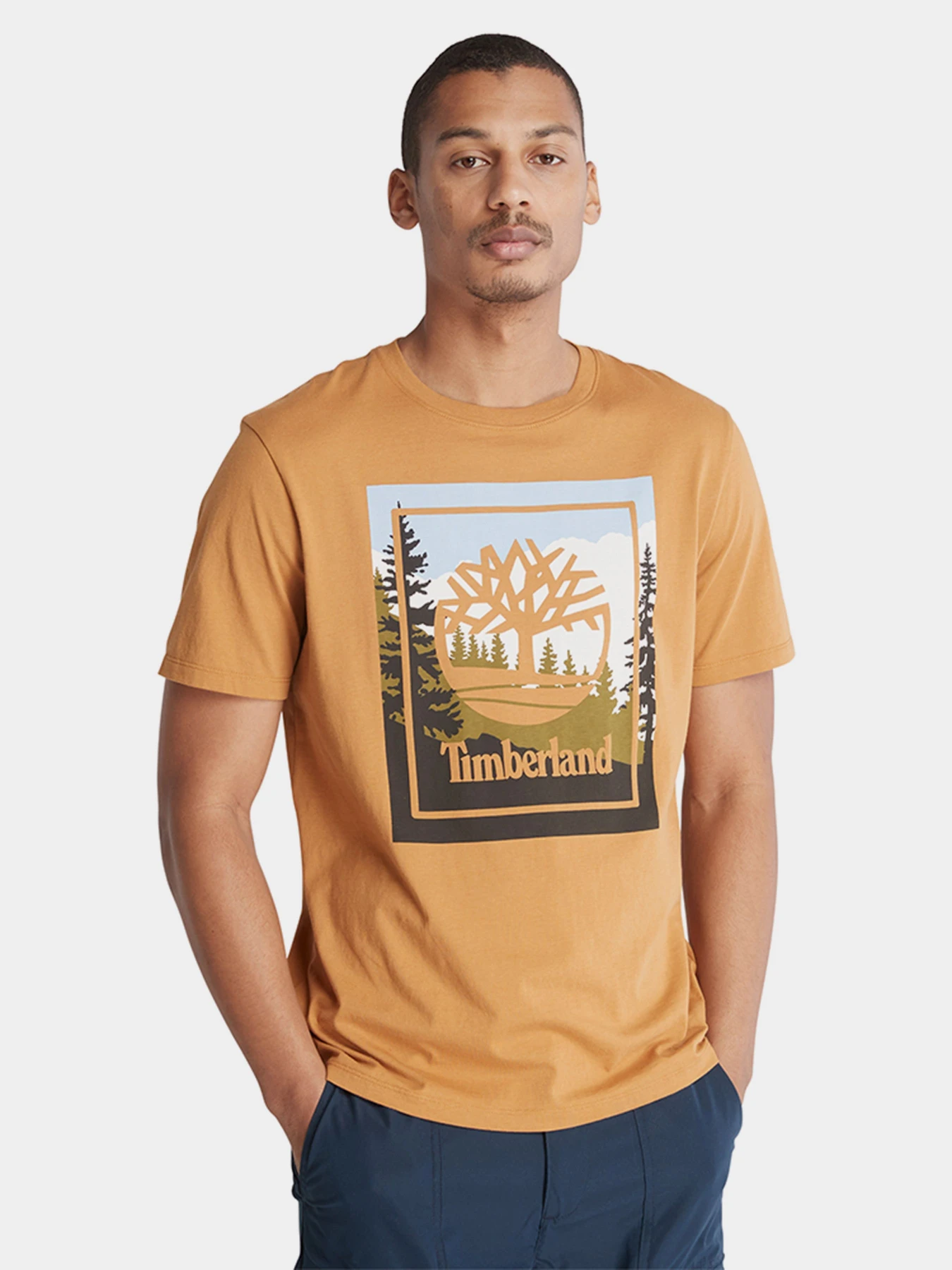 Футболки и поло Timberland модель TB0A6F4KP47 Футболки и поло Timberland модель TB0A6F4KP47 Фото