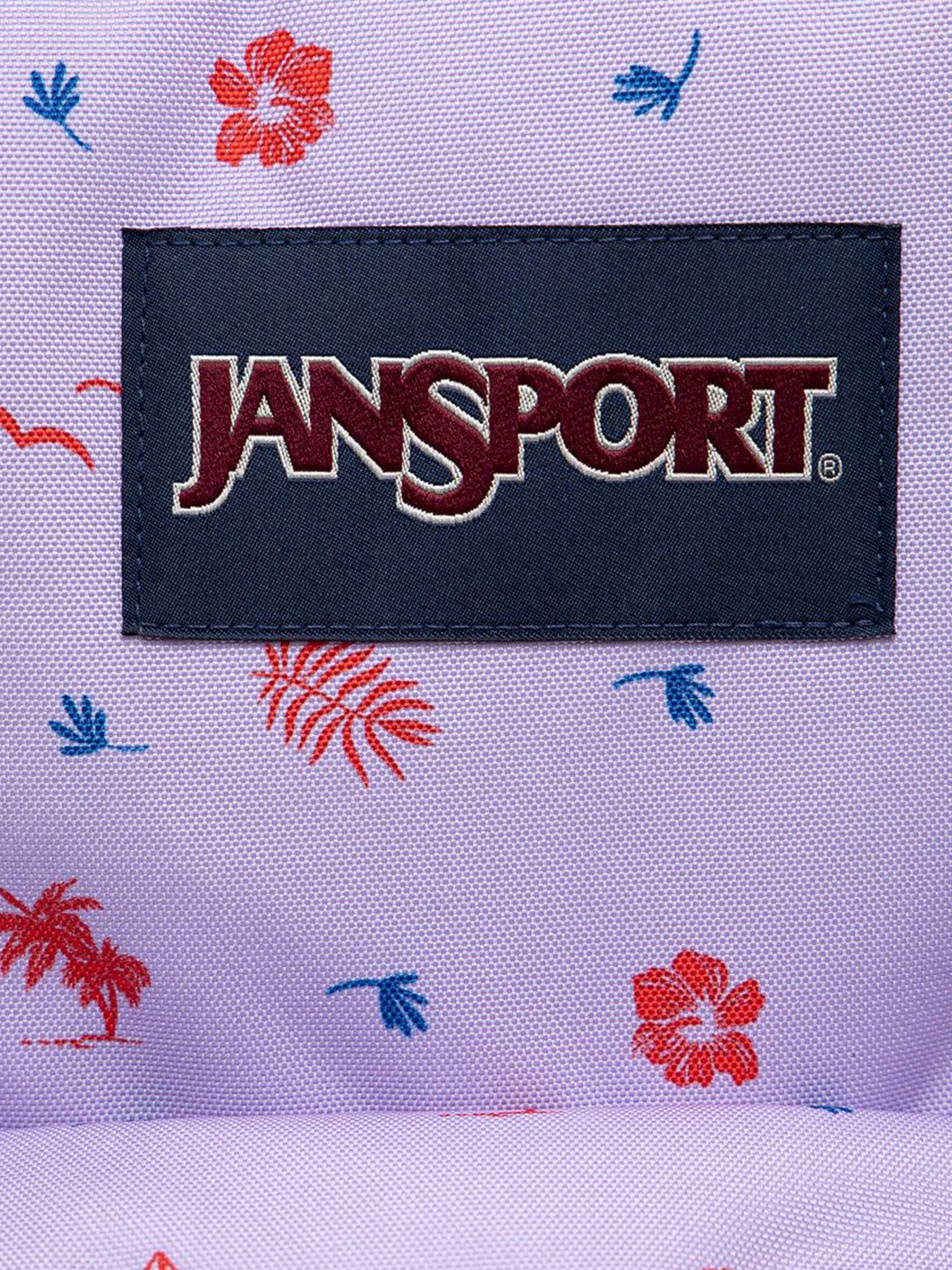 Рюкзаки JanSport модель EK0A5BAG1D91 Рюкзаки JanSport модель EK0A5BAG1D91 Фото
