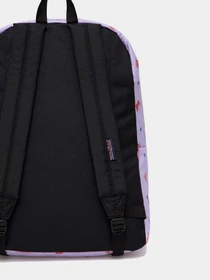 Рюкзаки JanSport модель EK0A5BAG1D91 Фото