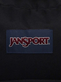 Рюкзаки JanSport модель EK0A5BAGN551 Фото