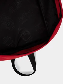 Рюкзаки JanSport модель EK0A5BAGN581 Фото